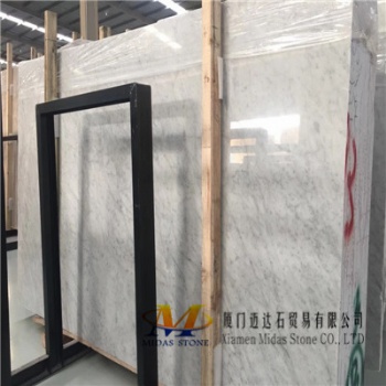 Bianco Carrara Tecchione Marble