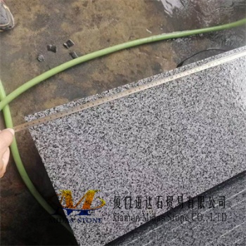 Flamed New G654 Granite Tiles